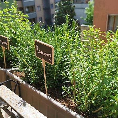 Spacious Apartment 50 Meters From The Metro ミラノ エクステリア 写真
