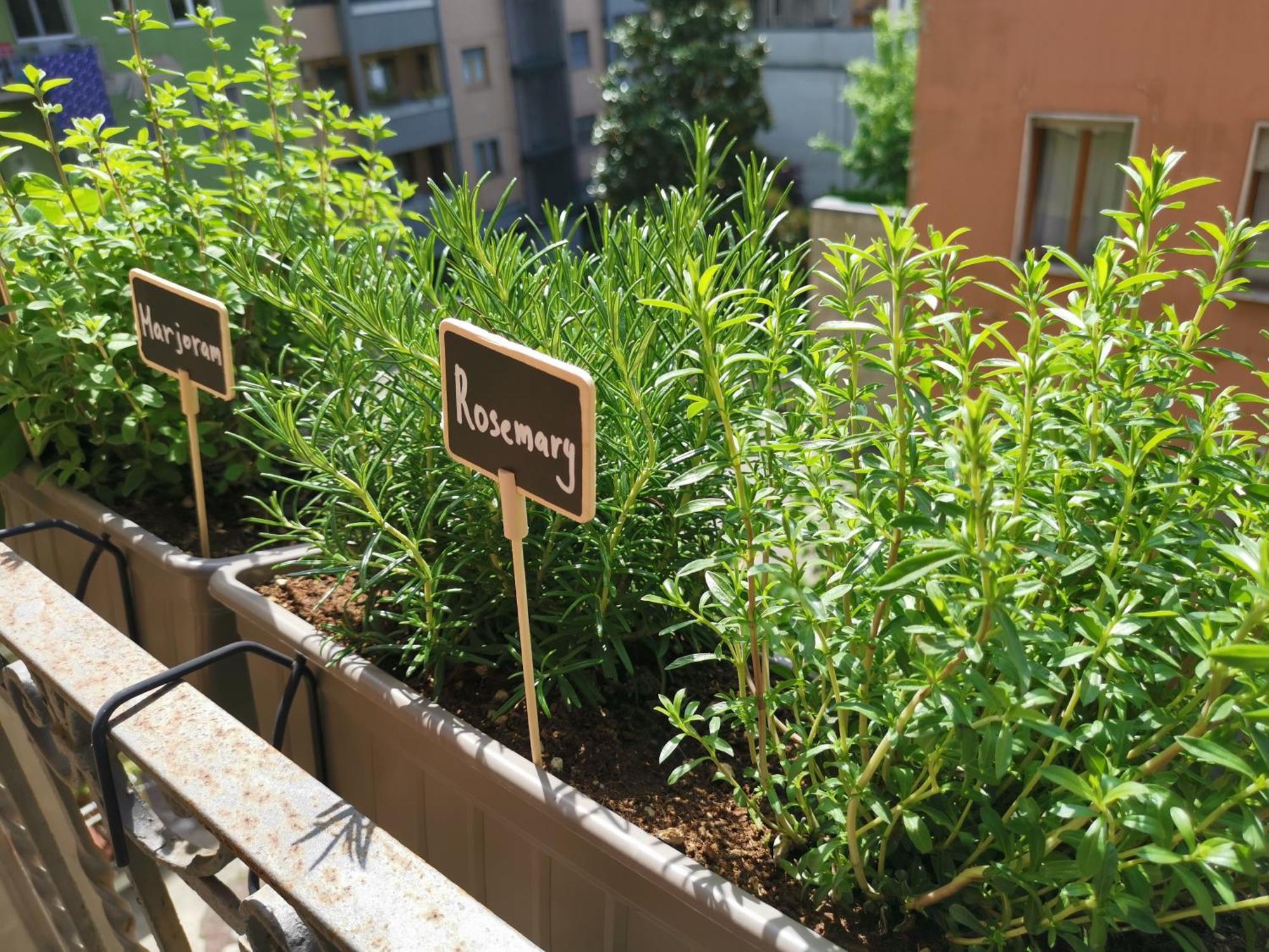Spacious Apartment 50 Meters From The Metro ミラノ エクステリア 写真